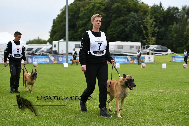 Impressionen 660.jpg